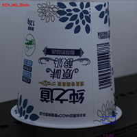 邊緣缺口