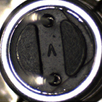 毛發(fā)